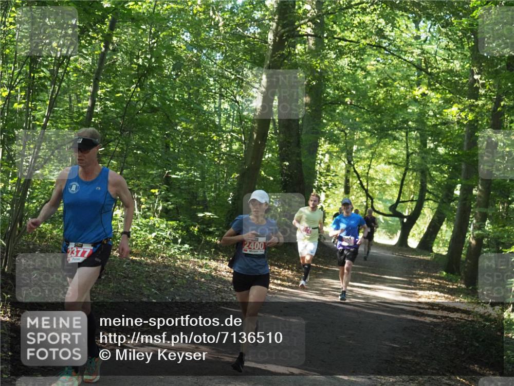 22.09.2024 - 32. Volkslauf durch das schöne Alstertal Miley Keyser http://msf.ph/oto/7136510 22.09.2024 10:39:11 Laufen 2377, 2400 meine-sportfotos.de