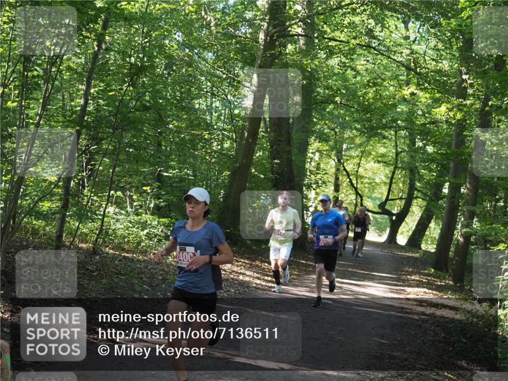 22.09.2024 - 32. Volkslauf durch das schöne Alstertal Miley Keyser http://msf.ph/oto/7136511 22.09.2024 10:39:12 Laufen 240 meine-sportfotos.de