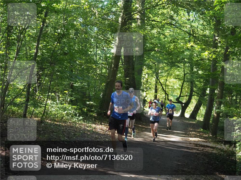 22.09.2024 - 32. Volkslauf durch das schöne Alstertal Miley Keyser http://msf.ph/oto/7136520 22.09.2024 10:39:09 Laufen  meine-sportfotos.de