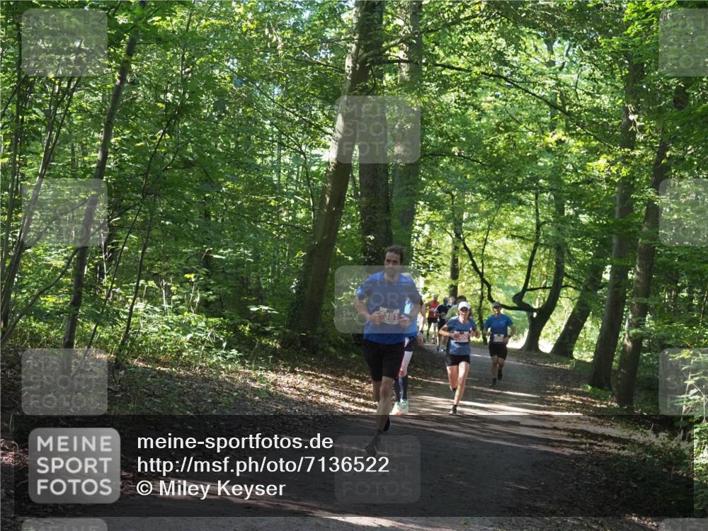 22.09.2024 - 32. Volkslauf durch das schöne Alstertal Miley Keyser http://msf.ph/oto/7136522 22.09.2024 10:39:08 Laufen 2381 meine-sportfotos.de
