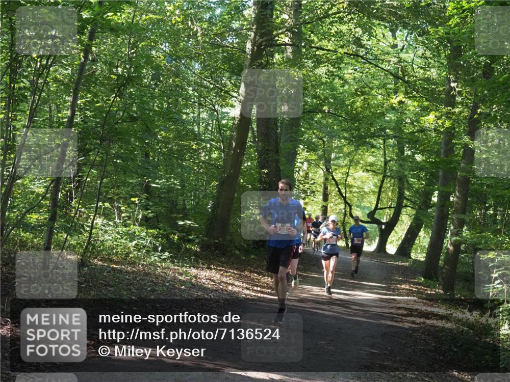 22.09.2024 - 32. Volkslauf durch das schöne Alstertal Miley Keyser http://msf.ph/oto/7136524 22.09.2024 10:39:08 Laufen 2381 meine-sportfotos.de