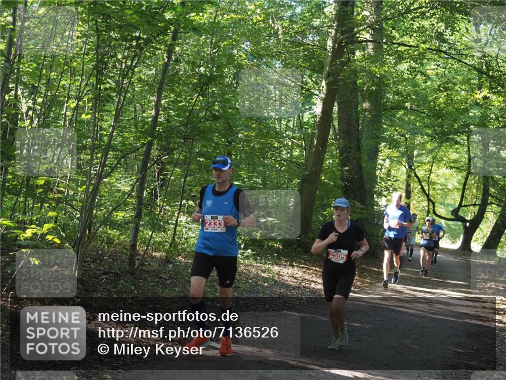 22.09.2024 - 32. Volkslauf durch das schöne Alstertal Miley Keyser http://msf.ph/oto/7136526 22.09.2024 10:39:07 Laufen 2333, 2505 meine-sportfotos.de