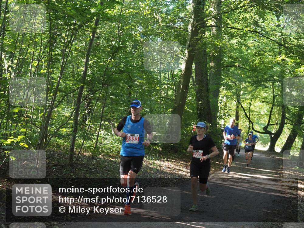 22.09.2024 - 32. Volkslauf durch das schöne Alstertal Miley Keyser http://msf.ph/oto/7136528 22.09.2024 10:39:06 Laufen 2333, 2505 meine-sportfotos.de