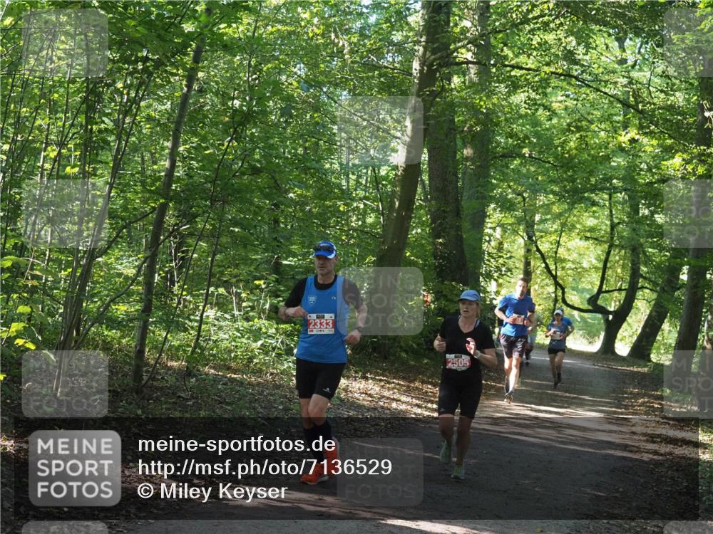 22.09.2024 - 32. Volkslauf durch das schöne Alstertal Miley Keyser http://msf.ph/oto/7136529 22.09.2024 10:39:06 Laufen 2333, 2505 meine-sportfotos.de
