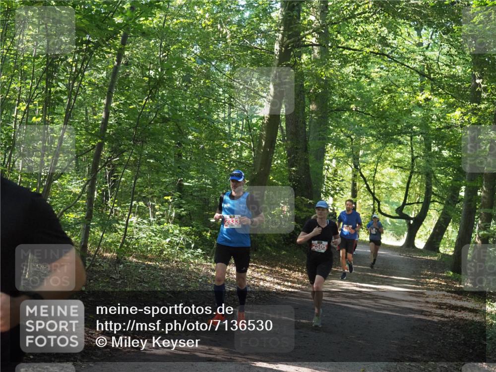 22.09.2024 - 32. Volkslauf durch das schöne Alstertal Miley Keyser http://msf.ph/oto/7136530 22.09.2024 10:39:06 Laufen 2333, 2505 meine-sportfotos.de