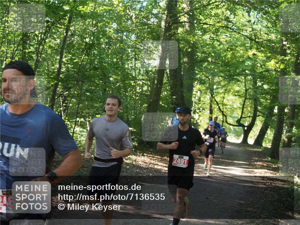 22.09.2024 - 32. Volkslauf durch das schöne Alstertal Miley Keyser http://msf.ph/oto/7136535 22.09.2024 10:39:05 Laufen 2491, 2468 meine-sportfotos.de