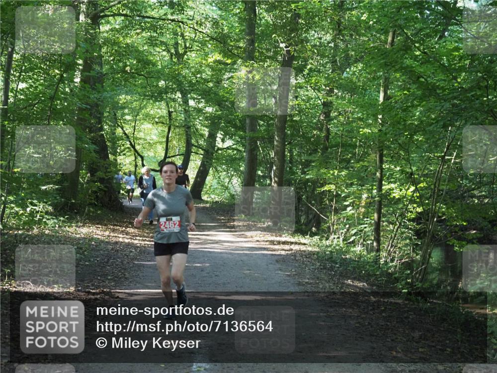 22.09.2024 - 32. Volkslauf durch das schöne Alstertal Miley Keyser http://msf.ph/oto/7136564 22.09.2024 10:38:53 Laufen 2462 meine-sportfotos.de