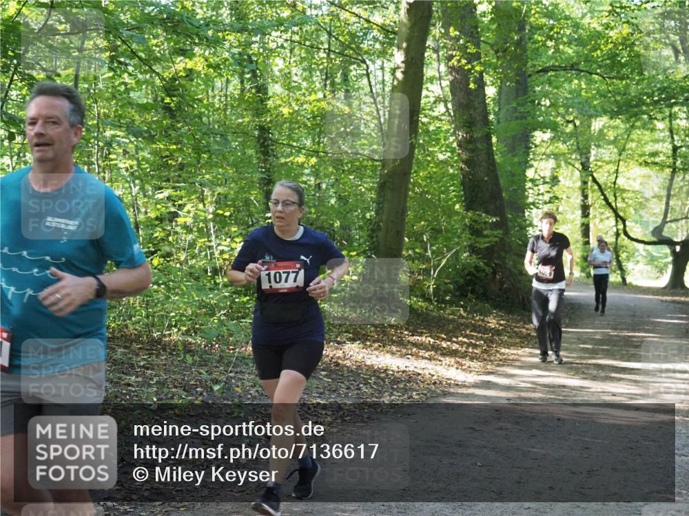 22.09.2024 - 32. Volkslauf durch das schöne Alstertal Miley Keyser http://msf.ph/oto/7136617 22.09.2024 10:28:54 Laufen 1077 meine-sportfotos.de