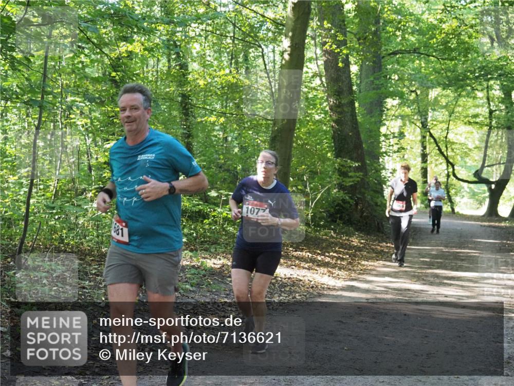 22.09.2024 - 32. Volkslauf durch das schöne Alstertal Miley Keyser http://msf.ph/oto/7136621 22.09.2024 10:28:54 Laufen 681, 107, 069 meine-sportfotos.de