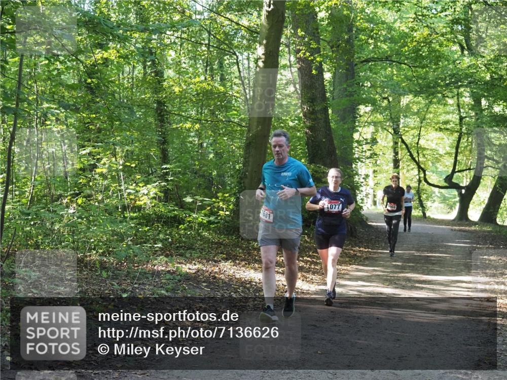 22.09.2024 - 32. Volkslauf durch das schöne Alstertal Miley Keyser http://msf.ph/oto/7136626 22.09.2024 10:28:52 Laufen 1681, 1077 meine-sportfotos.de