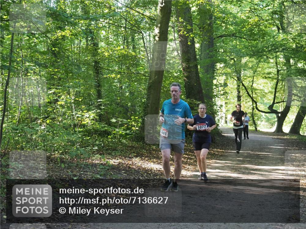 22.09.2024 - 32. Volkslauf durch das schöne Alstertal Miley Keyser http://msf.ph/oto/7136627 22.09.2024 10:28:52 Laufen 1681, 1077 meine-sportfotos.de