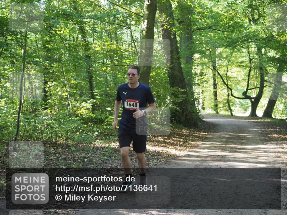 22.09.2024 - 32. Volkslauf durch das schöne Alstertal Miley Keyser http://msf.ph/oto/7136641 22.09.2024 10:27:57 Laufen 1648 meine-sportfotos.de