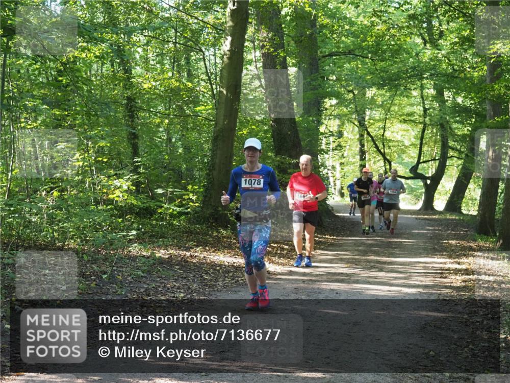 22.09.2024 - 32. Volkslauf durch das schöne Alstertal Miley Keyser http://msf.ph/oto/7136677 22.09.2024 10:27:33 Laufen 1078, 166, 1063 meine-sportfotos.de