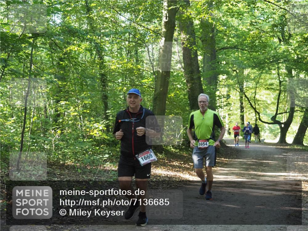 22.09.2024 - 32. Volkslauf durch das schöne Alstertal Miley Keyser http://msf.ph/oto/7136685 22.09.2024 10:27:22 Laufen 1669, 1654 meine-sportfotos.de