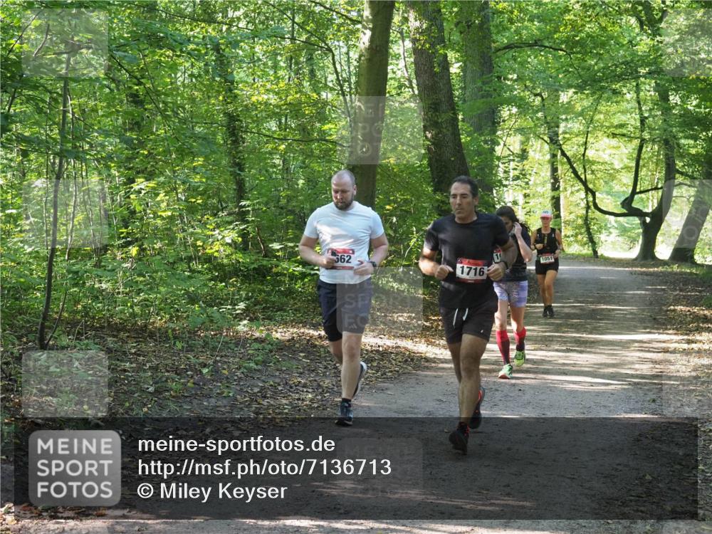22.09.2024 - 32. Volkslauf durch das schöne Alstertal Miley Keyser http://msf.ph/oto/7136713 22.09.2024 10:26:35 Laufen 662, 1716, 1051 meine-sportfotos.de
