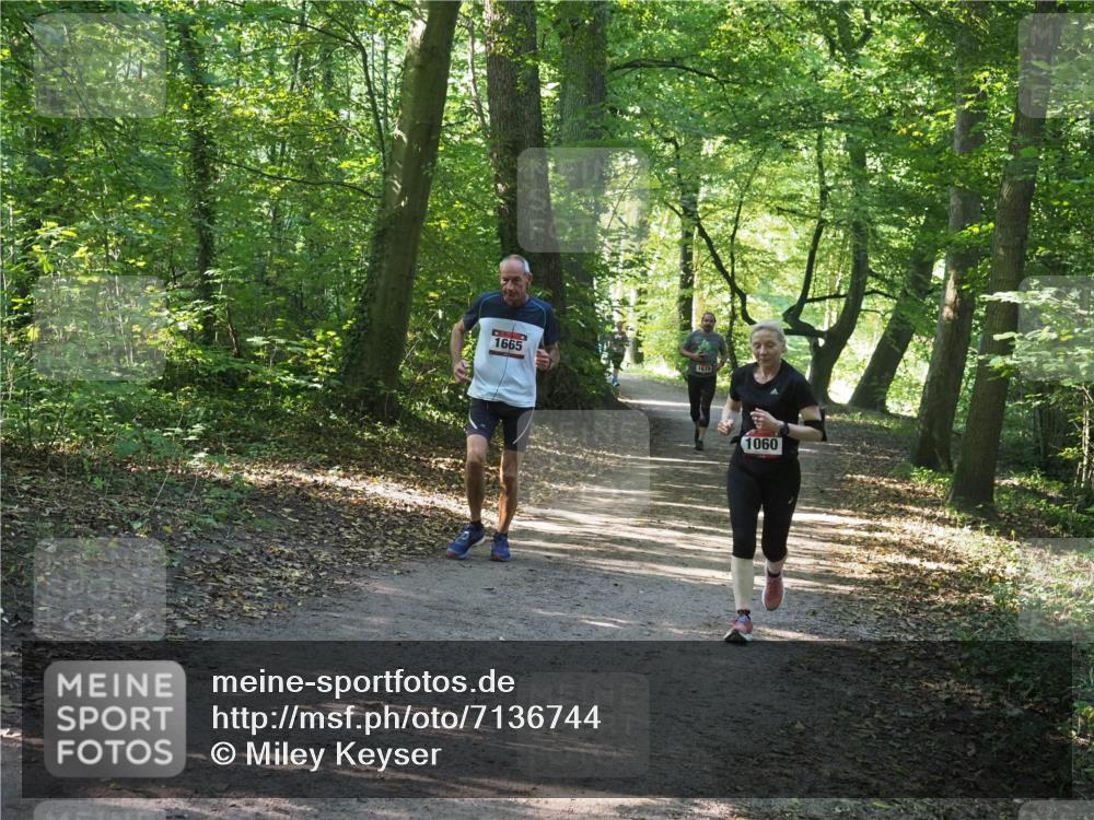 22.09.2024 - 32. Volkslauf durch das schöne Alstertal Miley Keyser http://msf.ph/oto/7136744 22.09.2024 10:26:06 Laufen 1665, 1679, 1060 meine-sportfotos.de