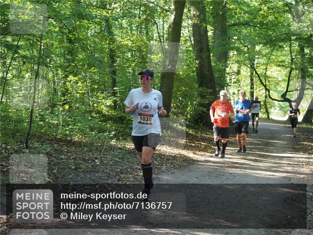 22.09.2024 - 32. Volkslauf durch das schöne Alstertal Miley Keyser http://msf.ph/oto/7136757 22.09.2024 10:25:59 Laufen 1030, 16, 1731 meine-sportfotos.de