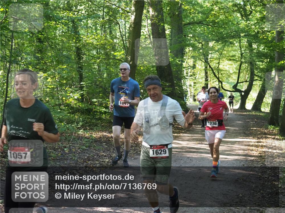 22.09.2024 - 32. Volkslauf durch das schöne Alstertal Miley Keyser http://msf.ph/oto/7136769 22.09.2024 10:25:54 Laufen 1057, 1641, 176, 1629, 1036 meine-sportfotos.de