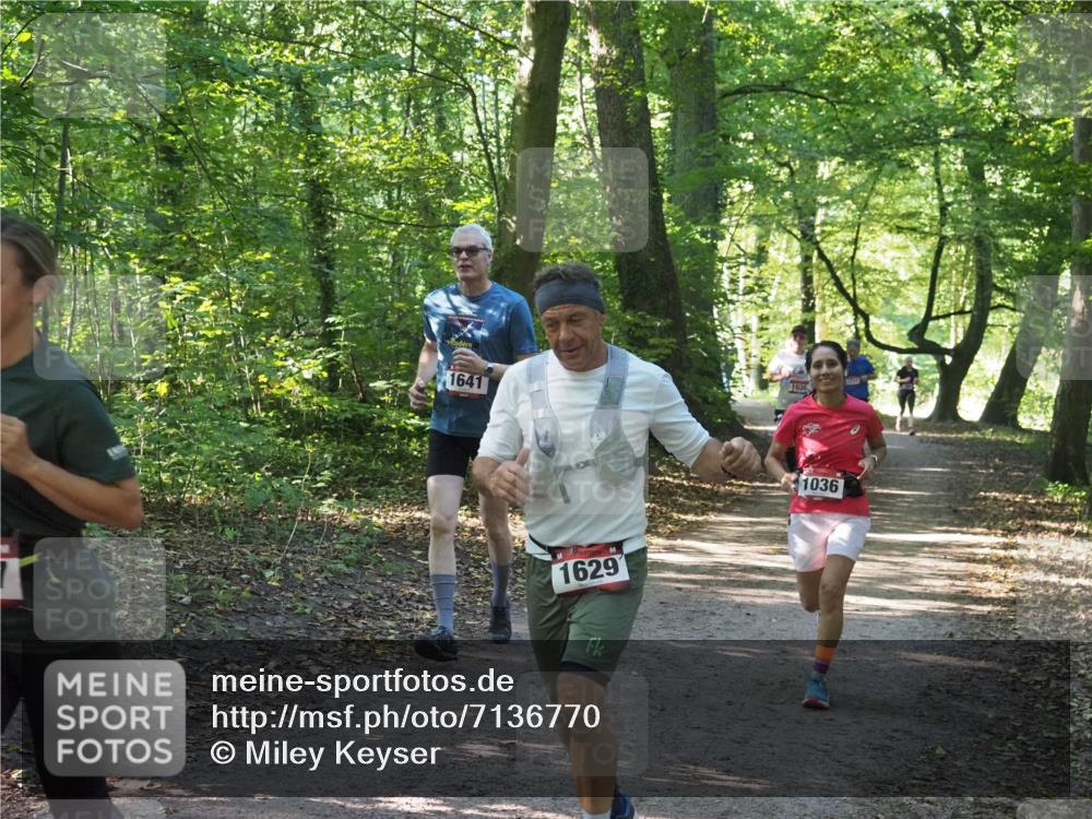 22.09.2024 - 32. Volkslauf durch das schöne Alstertal Miley Keyser http://msf.ph/oto/7136770 22.09.2024 10:25:54 Laufen 1641, 1030, 1629, 1036 meine-sportfotos.de