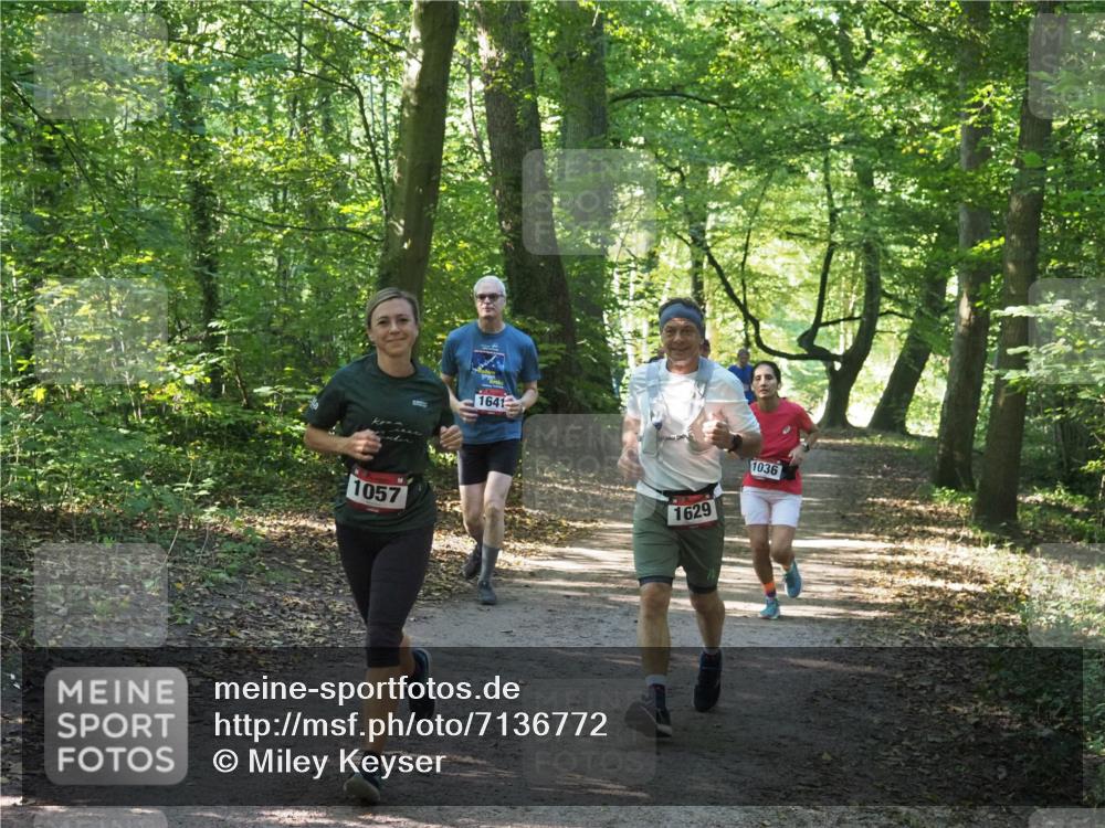 22.09.2024 - 32. Volkslauf durch das schöne Alstertal Miley Keyser http://msf.ph/oto/7136772 22.09.2024 10:25:53 Laufen 1057, 1641, 1629, 1036 meine-sportfotos.de