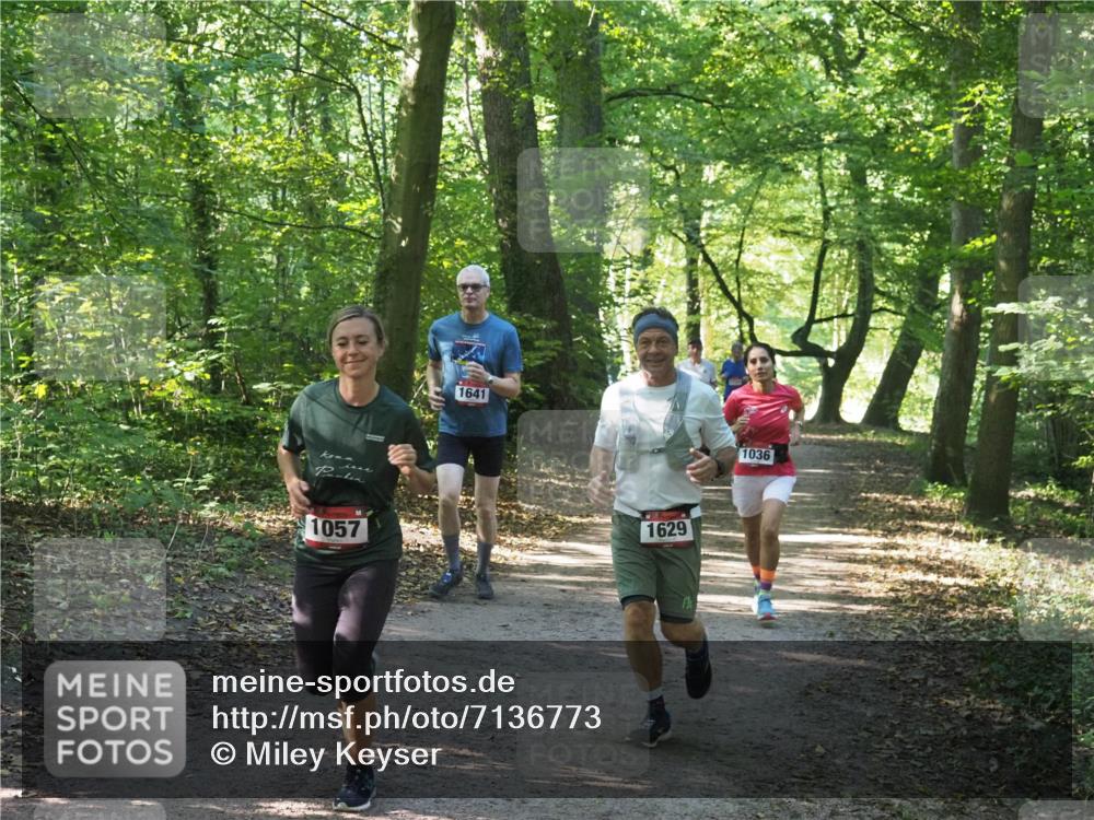22.09.2024 - 32. Volkslauf durch das schöne Alstertal Miley Keyser http://msf.ph/oto/7136773 22.09.2024 10:25:53 Laufen 1057, 1641, 1629, 1036 meine-sportfotos.de