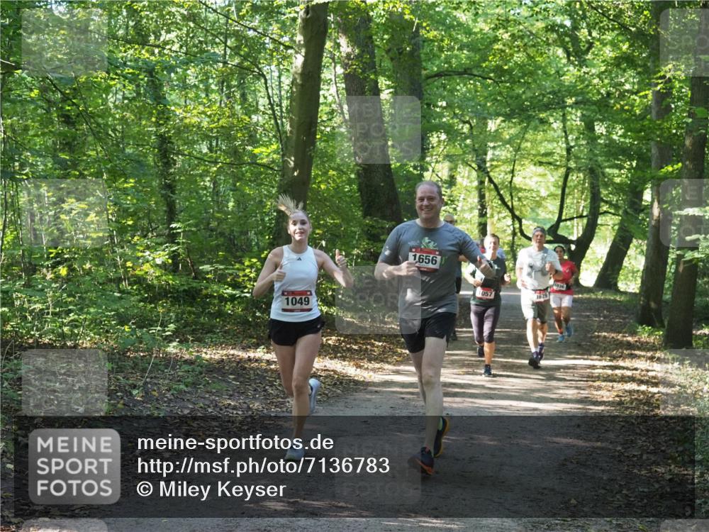 22.09.2024 - 32. Volkslauf durch das schöne Alstertal Miley Keyser http://msf.ph/oto/7136783 22.09.2024 10:25:50 Laufen 1049, 1656, 057, 1629, 1036 meine-sportfotos.de