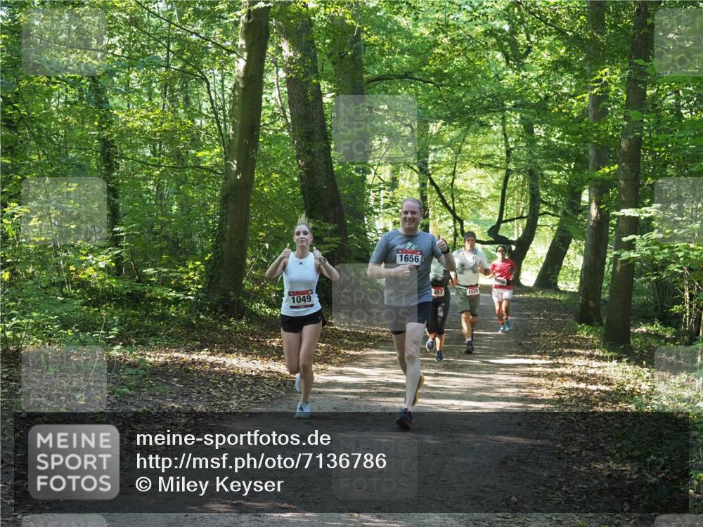 22.09.2024 - 32. Volkslauf durch das schöne Alstertal Miley Keyser http://msf.ph/oto/7136786 22.09.2024 10:25:49 Laufen 1049, 1656, 057, 1629, 36 meine-sportfotos.de