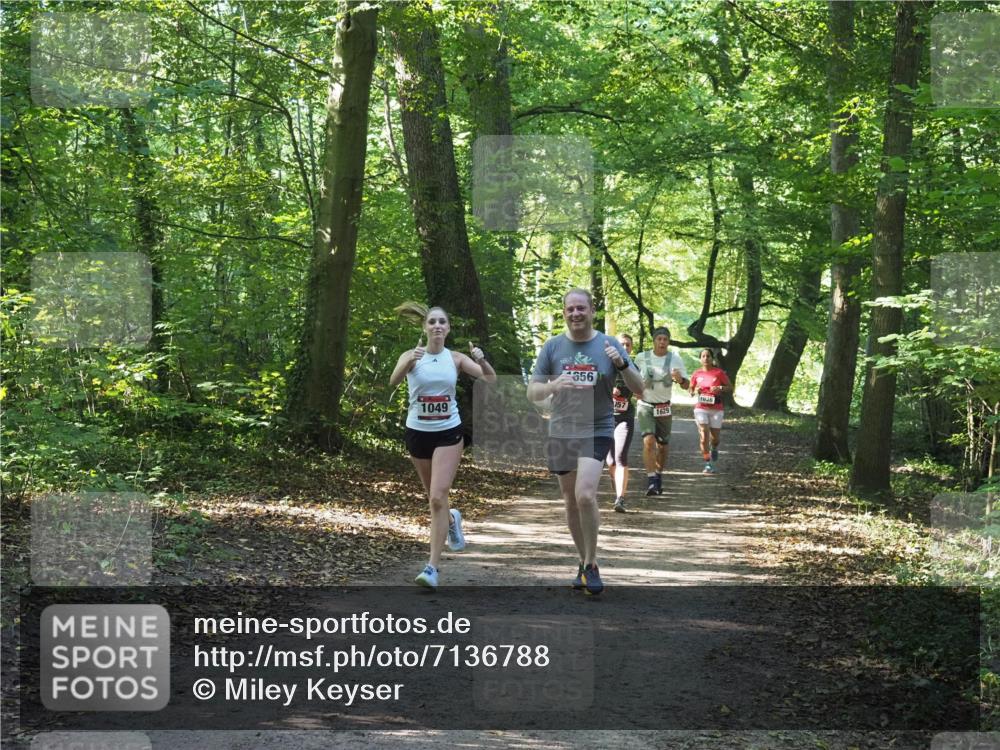 22.09.2024 - 32. Volkslauf durch das schöne Alstertal Miley Keyser http://msf.ph/oto/7136788 22.09.2024 10:25:49 Laufen 1049, 656, 057, 1629, 1036 meine-sportfotos.de