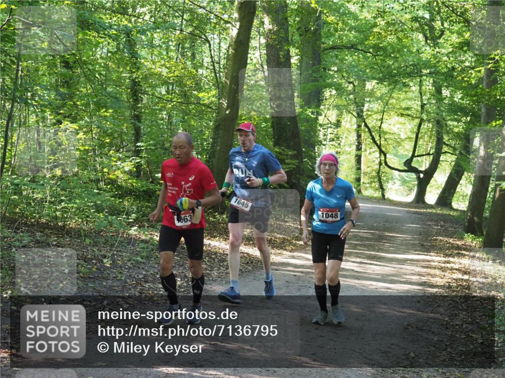 22.09.2024 - 32. Volkslauf durch das schöne Alstertal Miley Keyser http://msf.ph/oto/7136795 22.09.2024 10:25:29 Laufen 663, 1645, 1048 meine-sportfotos.de