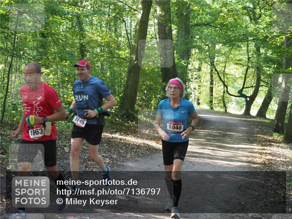 22.09.2024 - 32. Volkslauf durch das schöne Alstertal Miley Keyser http://msf.ph/oto/7136797 22.09.2024 10:25:30 Laufen 1663, 1645, 1048 meine-sportfotos.de