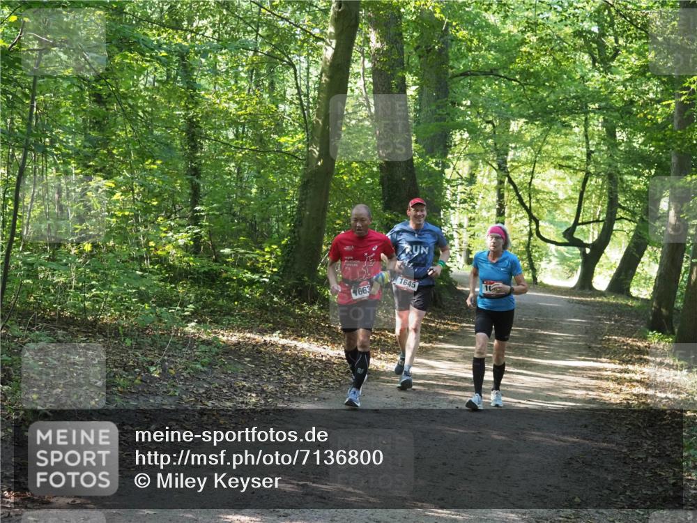 22.09.2024 - 32. Volkslauf durch das schöne Alstertal Miley Keyser http://msf.ph/oto/7136800 22.09.2024 10:25:28 Laufen 2022, 1663, 1645, 10 meine-sportfotos.de