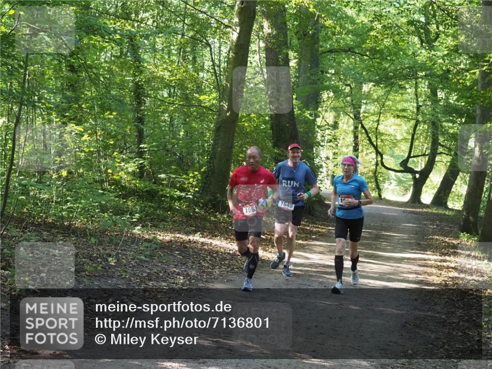 22.09.2024 - 32. Volkslauf durch das schöne Alstertal Miley Keyser http://msf.ph/oto/7136801 22.09.2024 10:25:28 Laufen 1663, 1645 meine-sportfotos.de