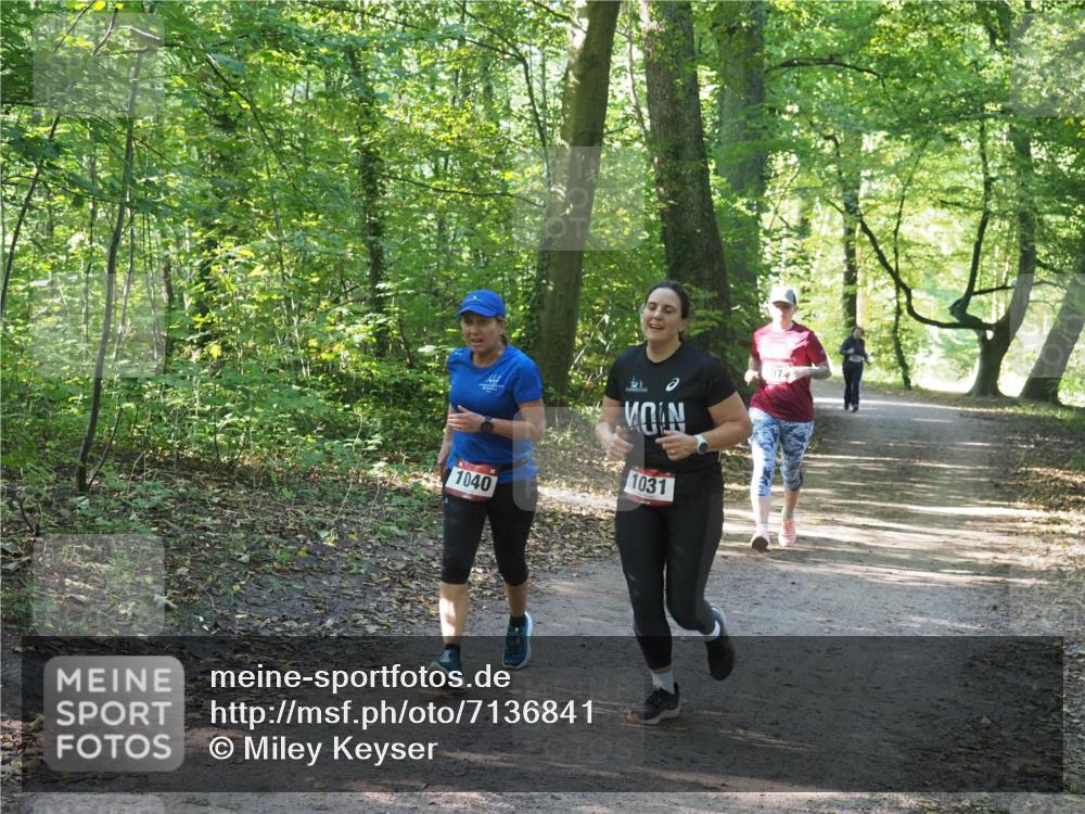 22.09.2024 - 32. Volkslauf durch das schöne Alstertal Miley Keyser http://msf.ph/oto/7136841 22.09.2024 10:25:05 Laufen 1040, 1031, 1074 meine-sportfotos.de