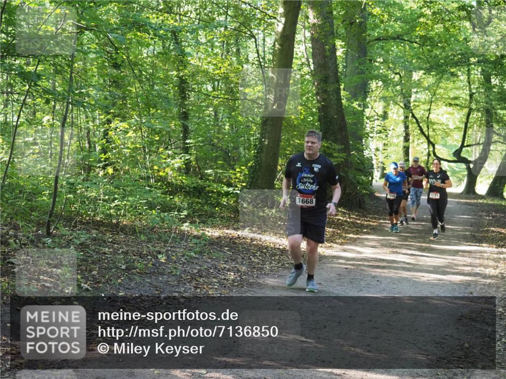 22.09.2024 - 32. Volkslauf durch das schöne Alstertal Miley Keyser http://msf.ph/oto/7136850 22.09.2024 10:25:01 Laufen 1668, 1031, 1040 meine-sportfotos.de