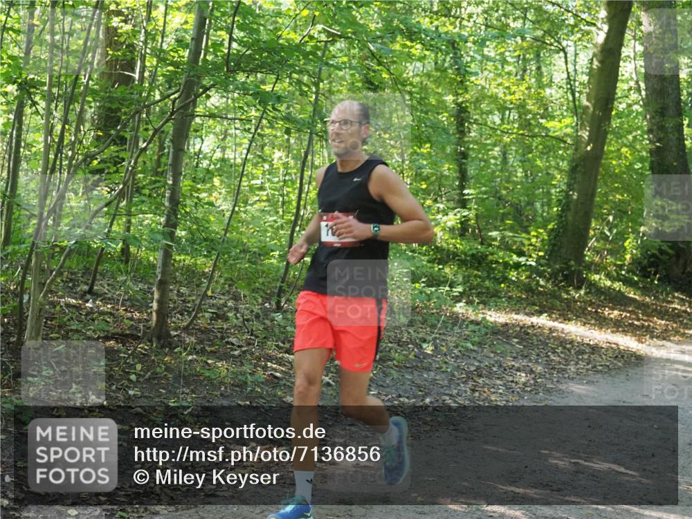 22.09.2024 - 32. Volkslauf durch das schöne Alstertal Miley Keyser http://msf.ph/oto/7136856 22.09.2024 10:24:54 Laufen  meine-sportfotos.de