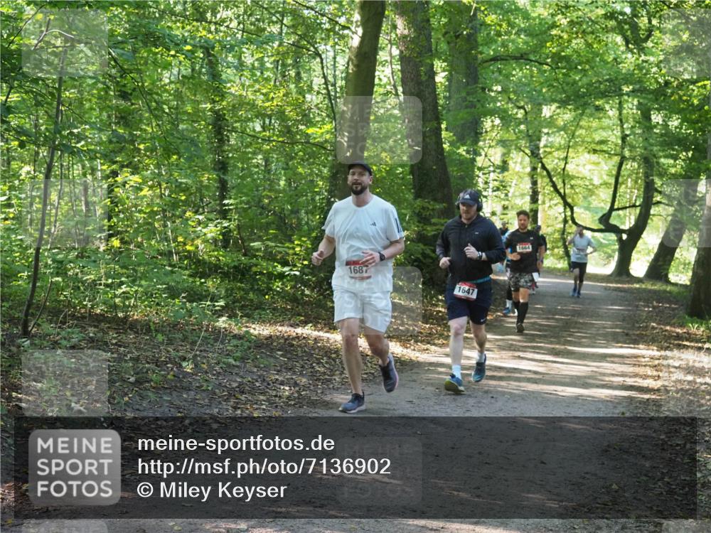 22.09.2024 - 32. Volkslauf durch das schöne Alstertal Miley Keyser http://msf.ph/oto/7136902 22.09.2024 10:24:41 Laufen 1687, 1647, 1664 meine-sportfotos.de