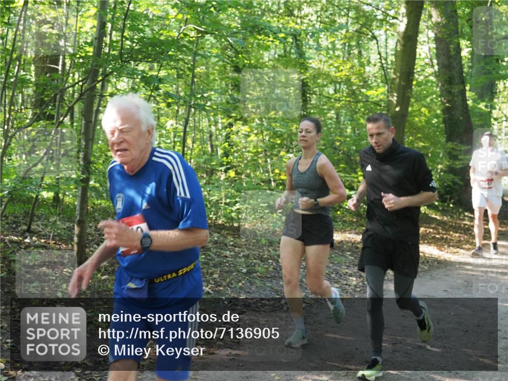 22.09.2024 - 32. Volkslauf durch das schöne Alstertal Miley Keyser http://msf.ph/oto/7136905 22.09.2024 10:24:39 Laufen  meine-sportfotos.de