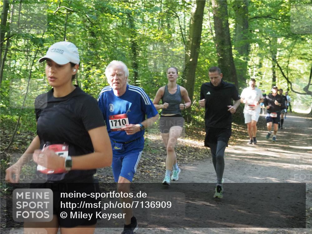 22.09.2024 - 32. Volkslauf durch das schöne Alstertal Miley Keyser http://msf.ph/oto/7136909 22.09.2024 10:24:38 Laufen 1710 meine-sportfotos.de