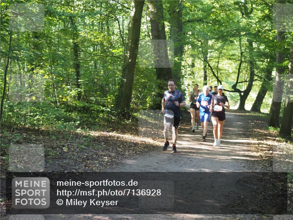 22.09.2024 - 32. Volkslauf durch das schöne Alstertal Miley Keyser http://msf.ph/oto/7136928 22.09.2024 10:24:35 Laufen 651, 1035 meine-sportfotos.de