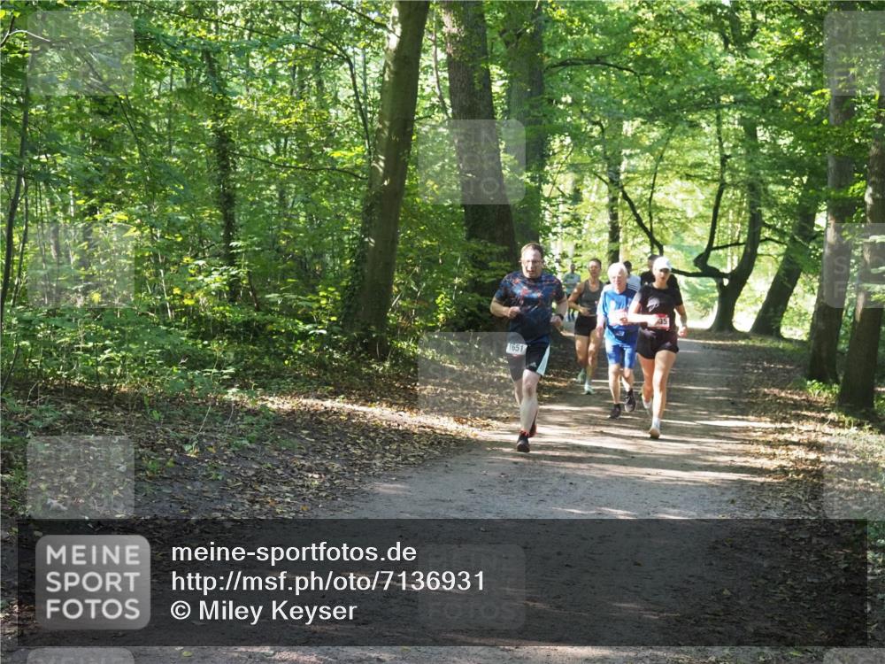 22.09.2024 - 32. Volkslauf durch das schöne Alstertal Miley Keyser http://msf.ph/oto/7136931 22.09.2024 10:24:34 Laufen 1651 meine-sportfotos.de