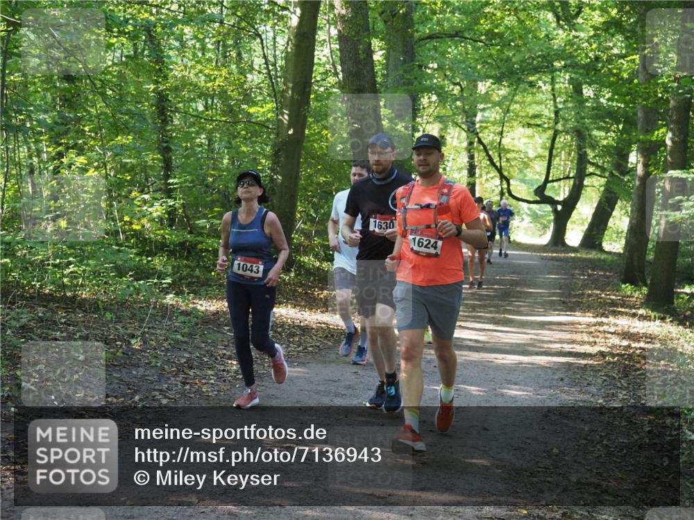 22.09.2024 - 32. Volkslauf durch das schöne Alstertal Miley Keyser http://msf.ph/oto/7136943 22.09.2024 10:24:27 Laufen 1043, 1630, 1624 meine-sportfotos.de