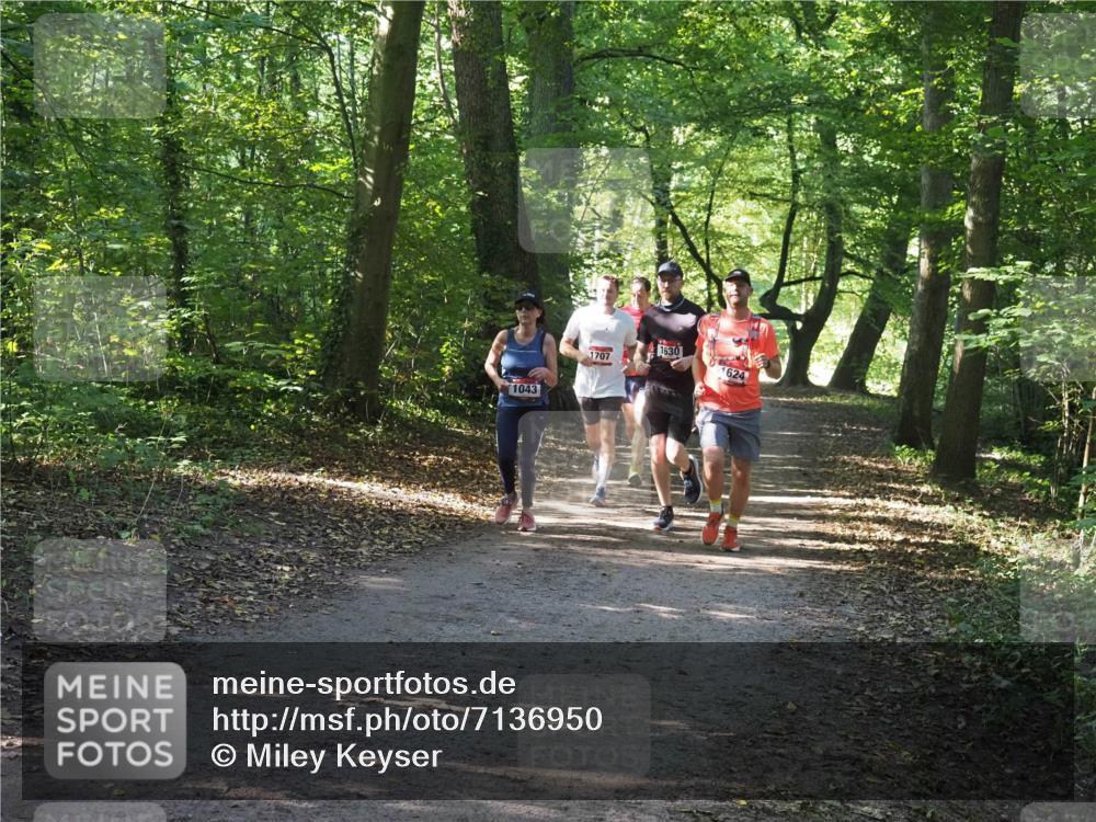 22.09.2024 - 32. Volkslauf durch das schöne Alstertal Miley Keyser http://msf.ph/oto/7136950 22.09.2024 10:24:25 Laufen 1043, 1630, 1707, 1624 meine-sportfotos.de
