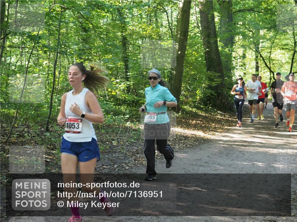 22.09.2024 - 32. Volkslauf durch das schöne Alstertal Miley Keyser http://msf.ph/oto/7136951 22.09.2024 10:24:24 Laufen 055, 1053, 1043, 1707 meine-sportfotos.de