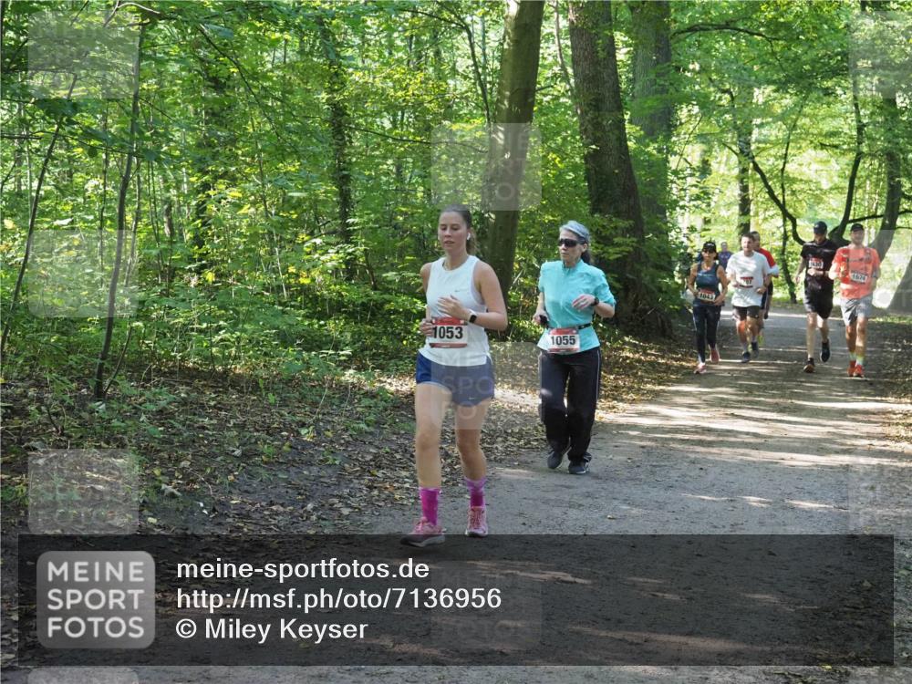 22.09.2024 - 32. Volkslauf durch das schöne Alstertal Miley Keyser http://msf.ph/oto/7136956 22.09.2024 10:24:23 Laufen 1053, 1055, 1043, 1630, 1624 meine-sportfotos.de