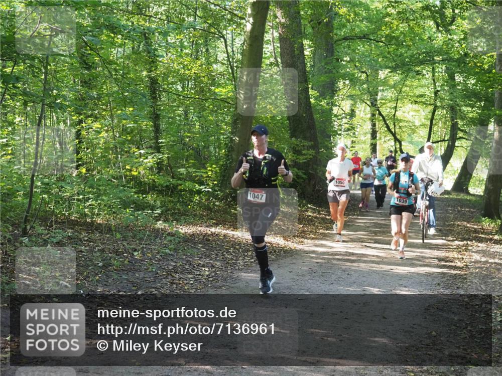 22.09.2024 - 32. Volkslauf durch das schöne Alstertal Miley Keyser http://msf.ph/oto/7136961 22.09.2024 10:24:17 Laufen 1047, 1050, 1039 meine-sportfotos.de