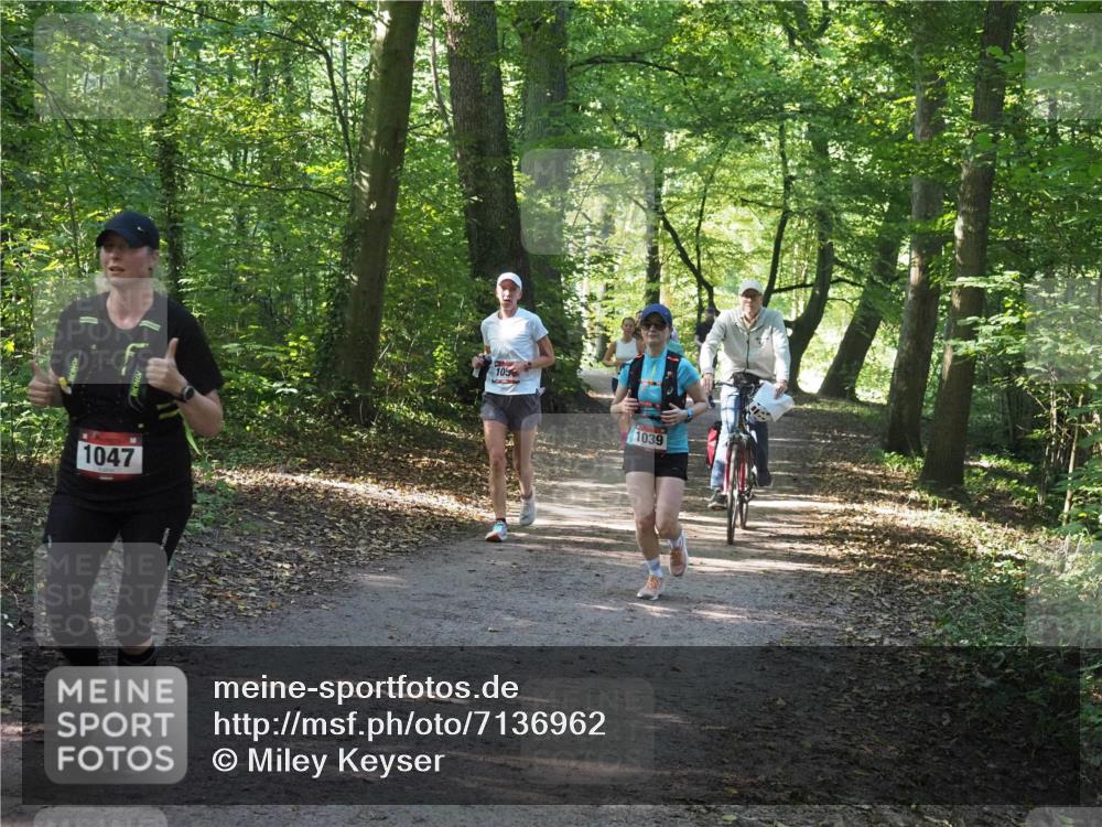 22.09.2024 - 32. Volkslauf durch das schöne Alstertal Miley Keyser http://msf.ph/oto/7136962 22.09.2024 10:24:18 Laufen 1047, 105, 1039 meine-sportfotos.de