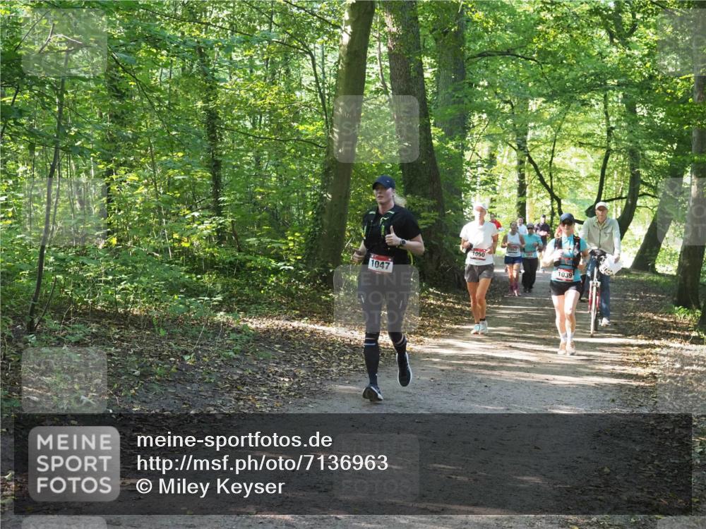 22.09.2024 - 32. Volkslauf durch das schöne Alstertal Miley Keyser http://msf.ph/oto/7136963 22.09.2024 10:24:16 Laufen 1047, 1050, 105, 1039 meine-sportfotos.de
