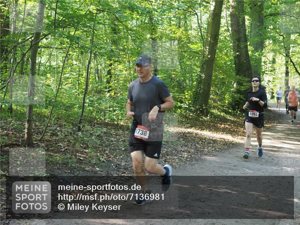 22.09.2024 - 32. Volkslauf durch das schöne Alstertal Miley Keyser http://msf.ph/oto/7136981 22.09.2024 10:24:08 Laufen 1738, 1093 meine-sportfotos.de