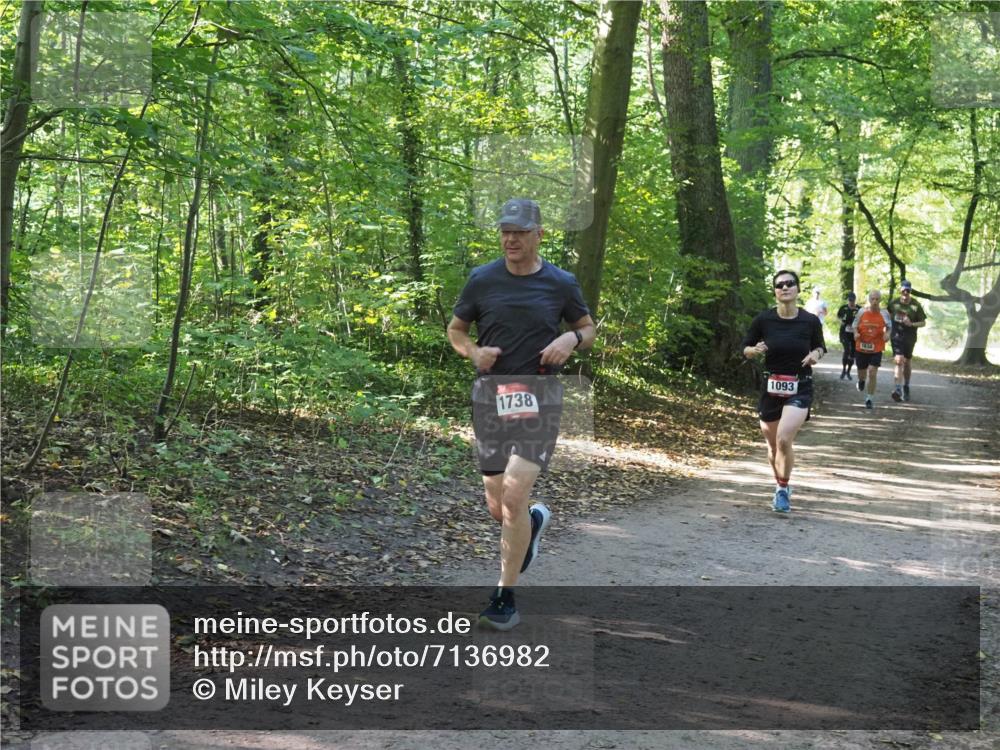 22.09.2024 - 32. Volkslauf durch das schöne Alstertal Miley Keyser http://msf.ph/oto/7136982 22.09.2024 10:24:07 Laufen 1738, 1093 meine-sportfotos.de