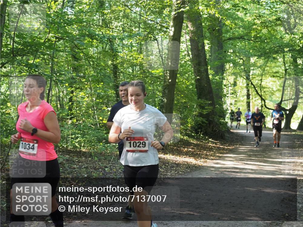 22.09.2024 - 32. Volkslauf durch das schöne Alstertal Miley Keyser http://msf.ph/oto/7137007 22.09.2024 10:23:55 Laufen 1034, 1029 meine-sportfotos.de